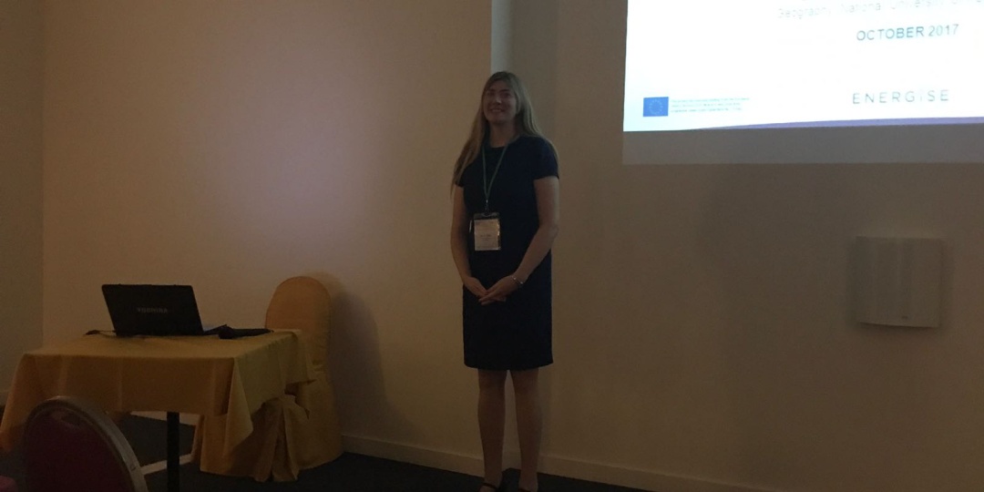 ENERGISE presented at the European Roundtable of Sustainable Consumption and production